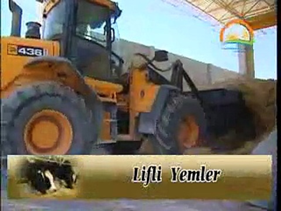 SÜT İNEKLERİNİN BESLENMESİ