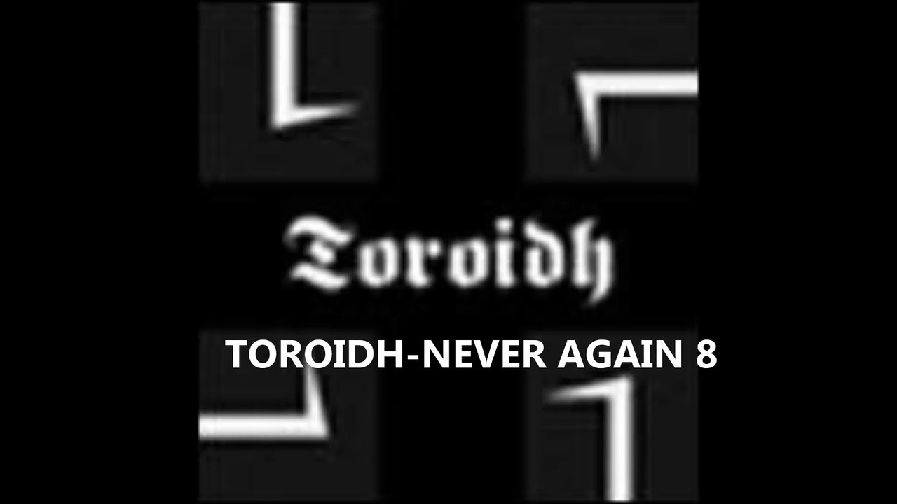 TOROIDH-NEVER AGAIN 8