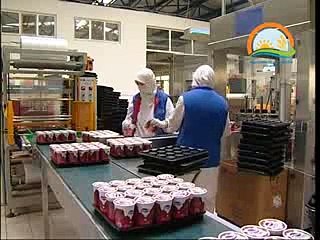 SÜT SIĞIRCILIĞINDA SOĞUK ZİNCİR