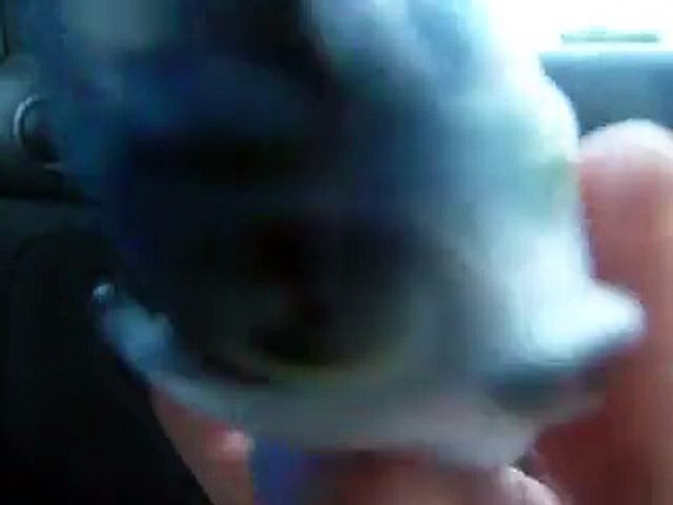 Histoire Petshop les anciennes amies