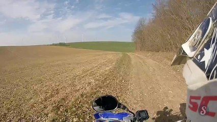 Deer Accidently Hit The Biker Must Watch
