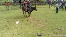 SUPER JARIPEO EXTREMO CHOLETE DEL DF VS EL SANGRE DE INDIO DE RANCHO VALIENTE JINETE MONTA TOROS SALVAJES DE LA MEJOR GANADERIA COMPILADO