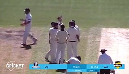 Fawad Ahmed Pakistani Playing Domestic In Australia Took 8 Wickets For 89