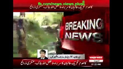 Pak Foj  Killed Mula Fazlullah in Tera