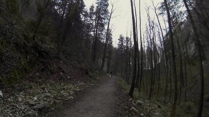 essai cani vtt