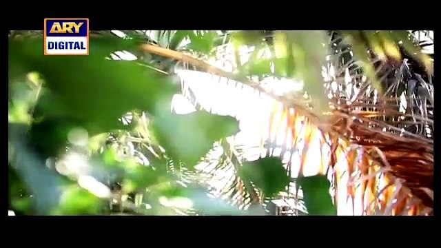 Parvarish Last Episode 23 - 17th March 2015 - ARY Digital