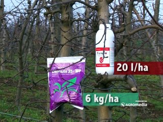 Galenika - Fitofarmacija - Kako zaštititi sadnice jabuka i kajsija_392_12.03.2015.