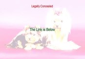 Legally Concealed PDF - Instant Download [2015]