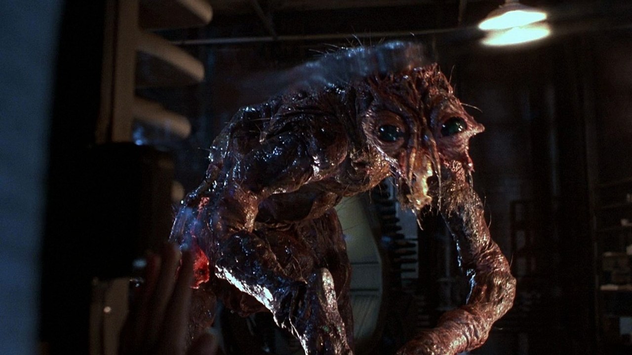 The Fly Full Movie