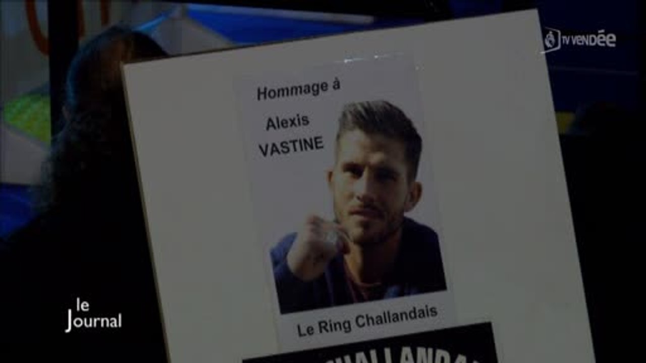 Challans : Gala de boxe en mémoire d'Alexis Vastine (Vendée)