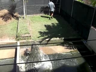 Crocodylus Park - le croco attaque!!!