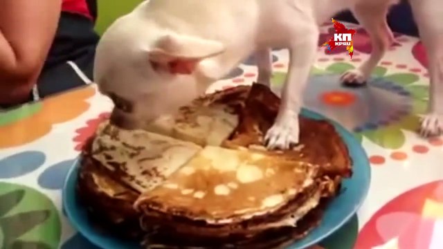 Хороший завтрак - отличное начало дня!(Приколы и юмор, смотреть всем!) » Смотреть онлайн новинки фильмов в хорошем качестве бесплатно.