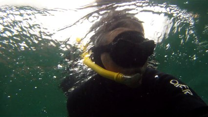 Maratona Aquática, Prova Triátlon, 2 km, Ilha Bela, SP, Brasil, Tri atleta, Fernando Cembranelli, Marcelo Ambrogi, 22 de março de 2015, Praia Grande, Ilha Bela, Circuito Marítimo, (4)