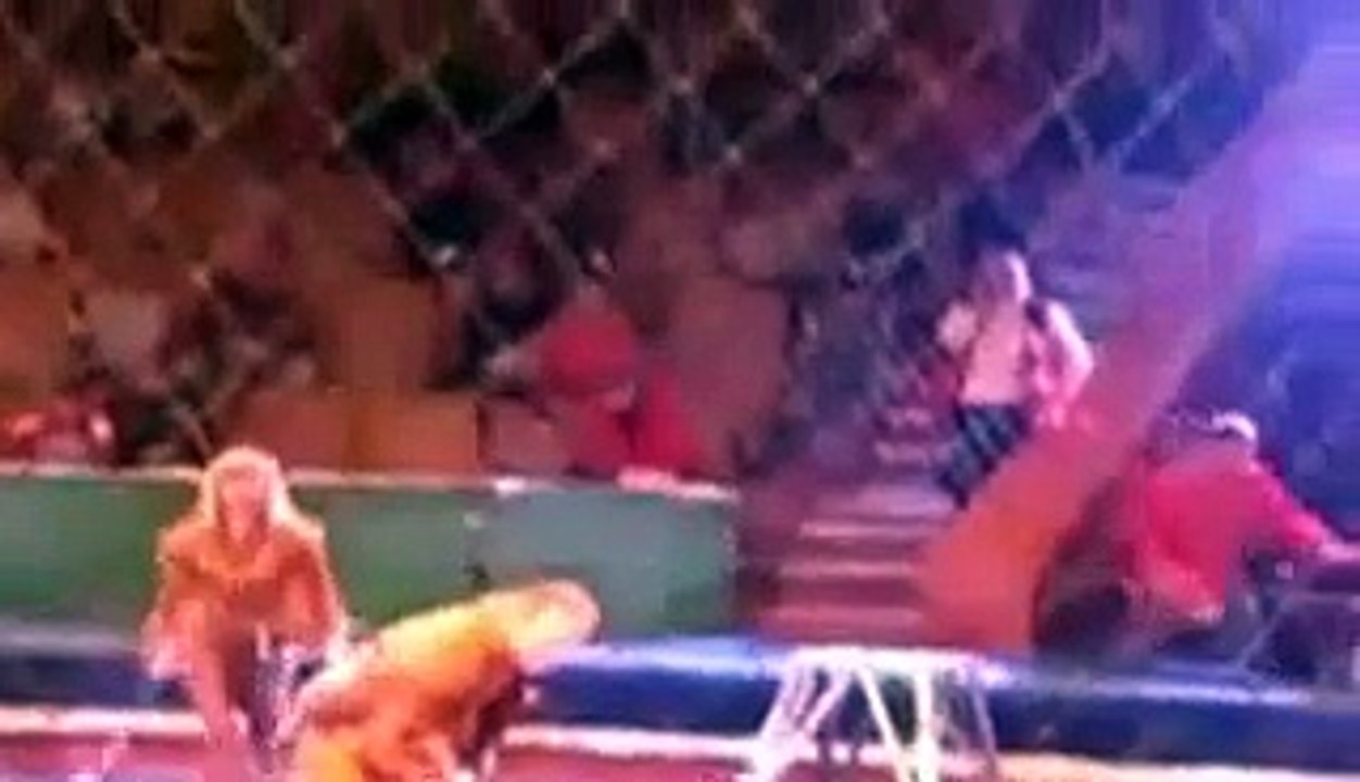 OMG !!! Live Attack of Lion during CIRCUS Show