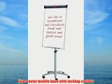Nobo Barracuda Mobile Easel Whiteboard Flipchart with Magnetic and Height-adjustable features
