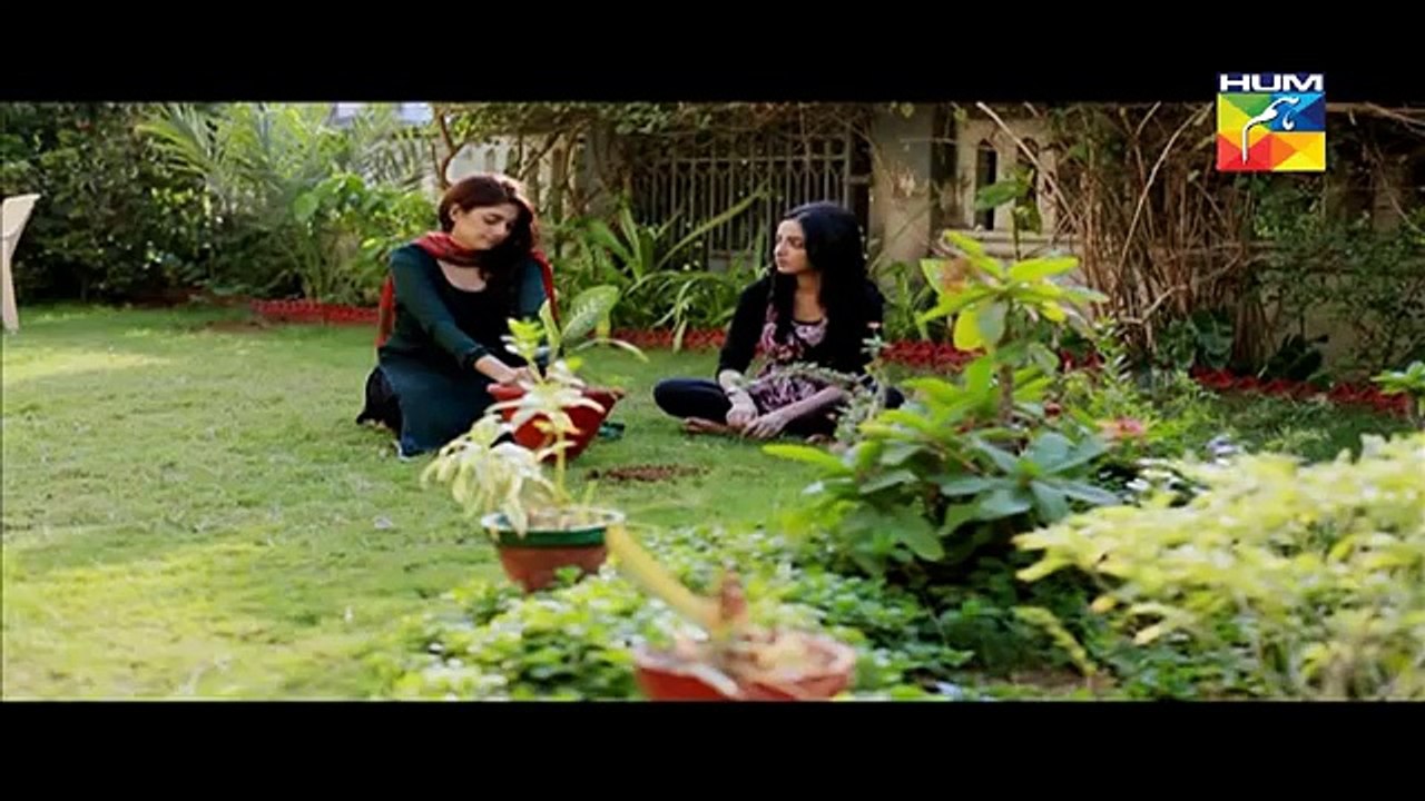Nikah Episode 12 on Hum Tv in High Quality 22nd March 2015