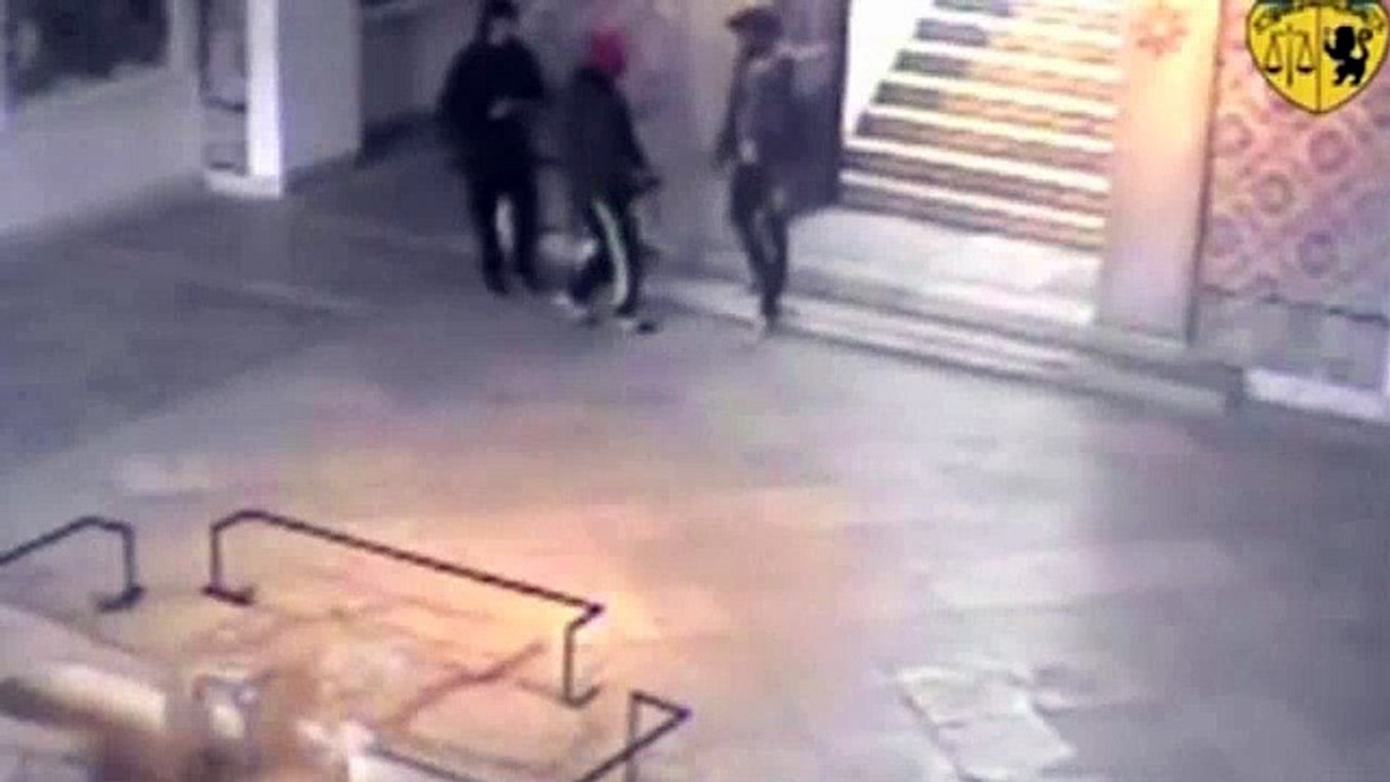 Tunisia museum attack  CCTV footage of gunmen released