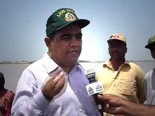 after Flood Tree Plantation in River Indus