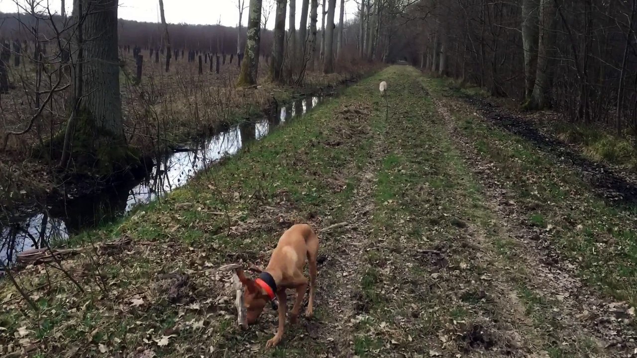 Les trois en balade à Armainvilliers