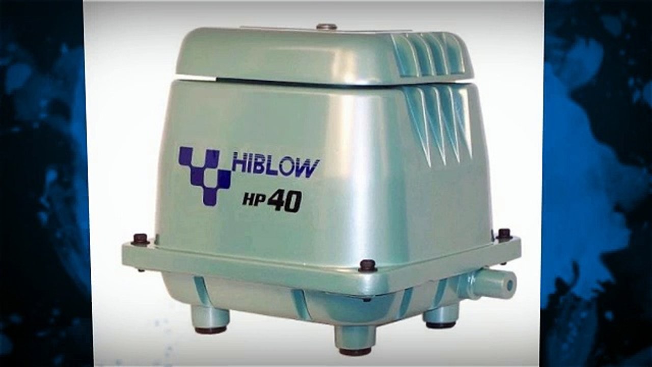 Hiblow HP 80