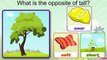 Learn Opposites - Fun and Educational Videos for Kids