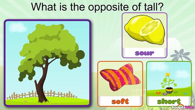 Learn Opposites - Fun and Educational Videos for Kids