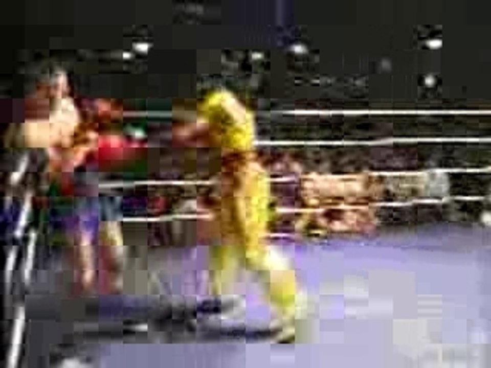 Muay Thai vs Kung Fu