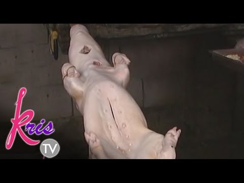 KrisTV discovers the secret ingredients of Dumaguete lechon