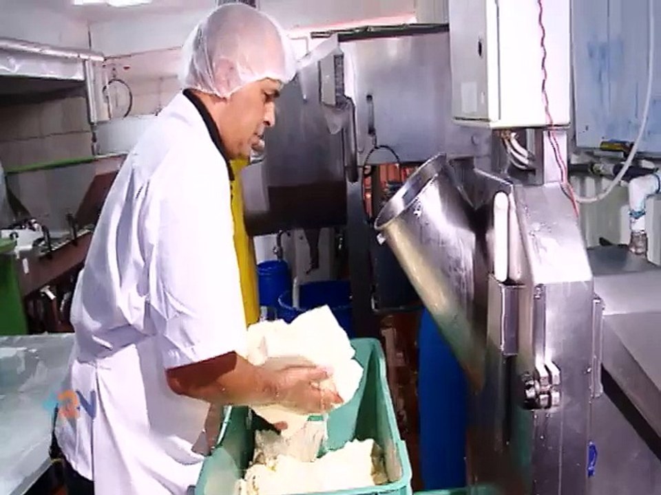 Queso palmito
