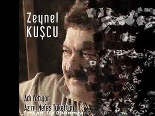 Zeynel Kuşçu - Hayal Misin Sen