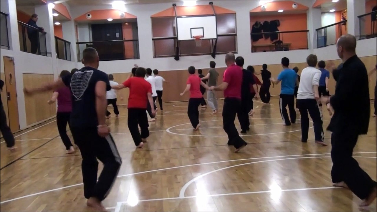 STAGE DE QI-GONG MARTIAL 9/3/2015- Maître Tran-kinh Tél: 01 45 77 30 78