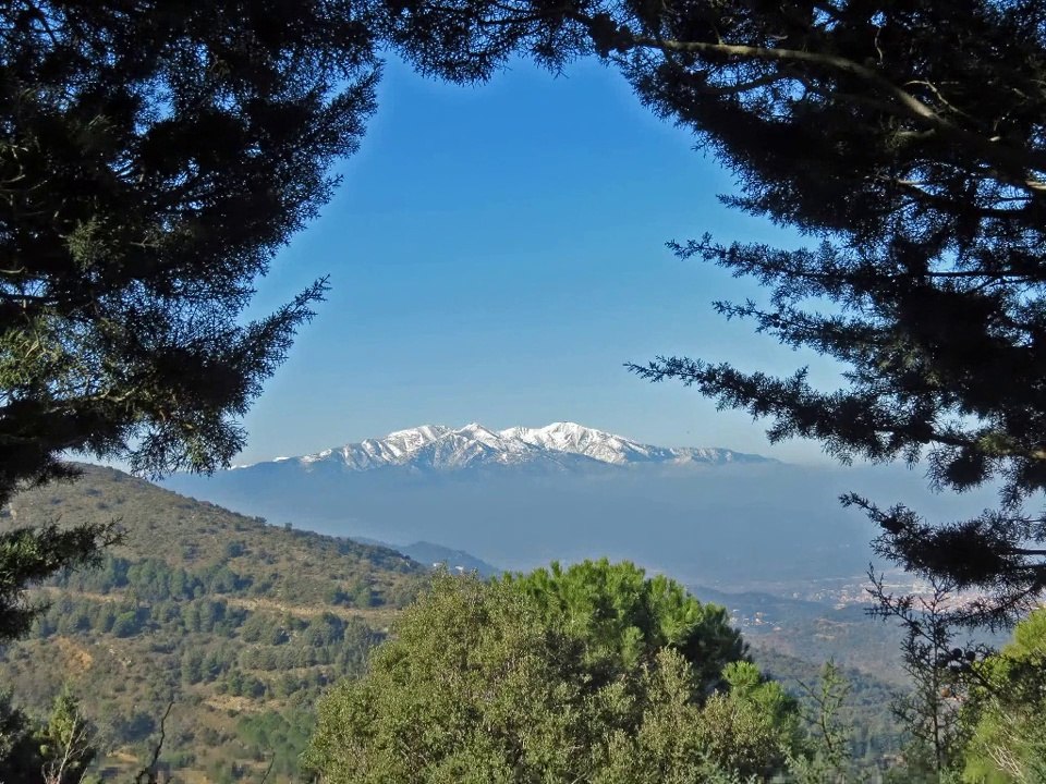 LE PRIEURE SANTA MARIA DEL VILAR......depuis Villelongue-dels-Monts