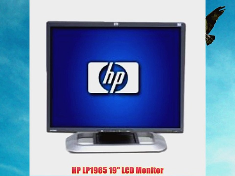 HP LP1965 19 LCD Monitor