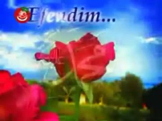 Fetih Nesli Sinevizyonu