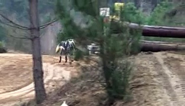 Uriel de Tassine Poney Français de Selle 7 ans - CCE Mars 15