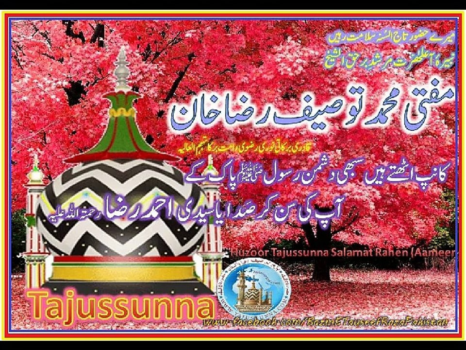 Pictures_Video-4