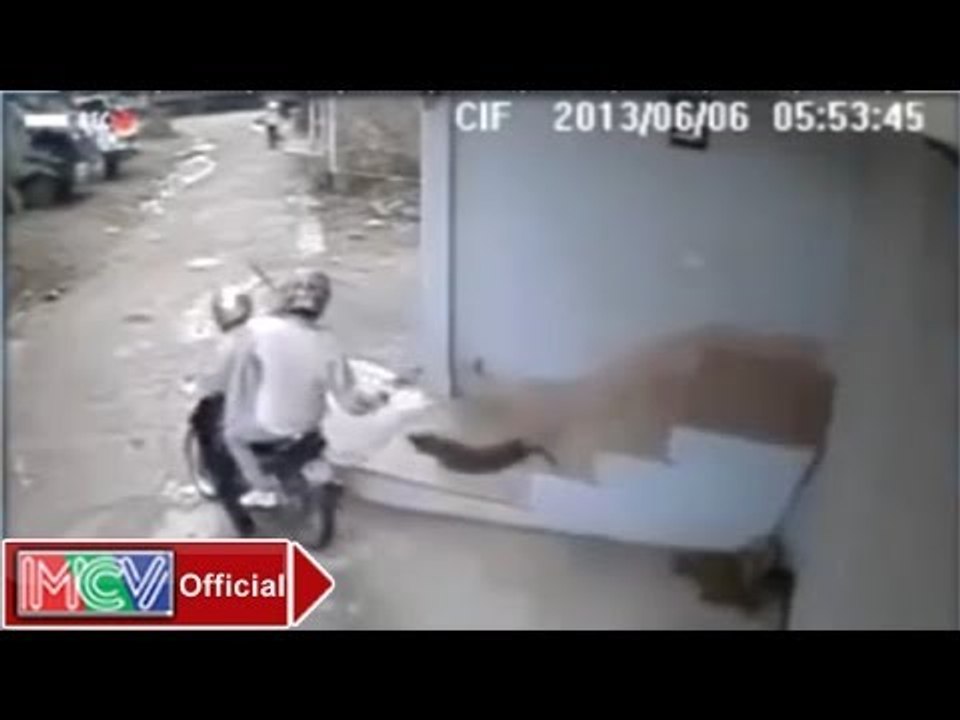 Camera Cận Cảnh: Trộm Chó - MCV [Official]