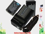 2 Battery Charger for Sony CAMCORDER NP-FP50 NP-FP30 NP-FP70 NP-FP90   car plug