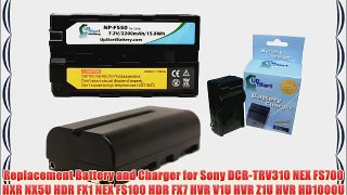 2x Pack - Sony NP-F550 Digital Camera Battery and Charger Replacement (2200mAh 7.2V Lithium-Ion)