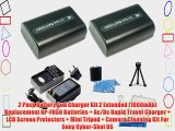 2 Pack Battery And Charger Kit 2 Extended (1000mAh) Replacement NP-FH50 Batteries   Ac/Dc Rapid