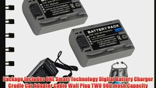 Amsahr S-NPFP50-2CT Digital Replacement Battery PLUS Battery Travel Charger for Sony NP-FP50