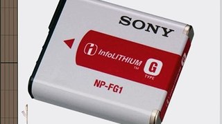 Sony NPFG1/M8 Rechargeable Battery Pack (Silver)