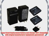 Progo DMW-BCJ13e Power Pack (Two Li-Ion Rechargeable Batteries and Pocket Travel AC/DC Wall
