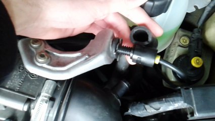 Diag vanne ralenti bloqué Clio RS