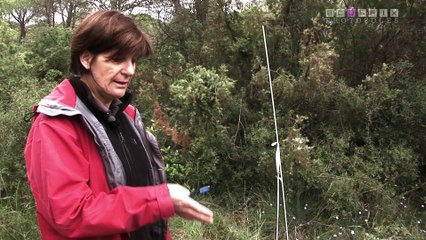 ECOSFIX PROTOCOLES - relevés de végétation