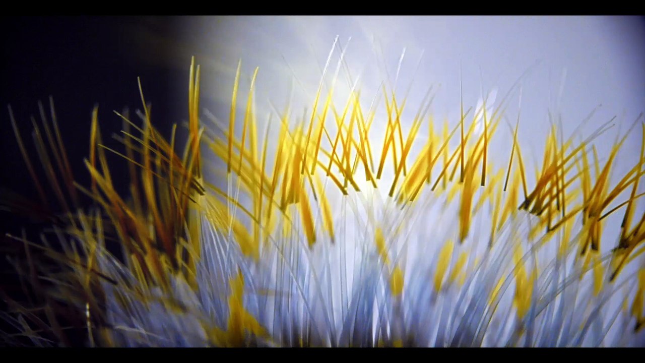 Björk - Lionsong (Official Video)