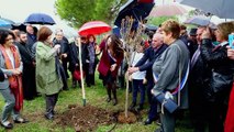 Plantation des armbres au Mémorial du Génocide des Arméniens