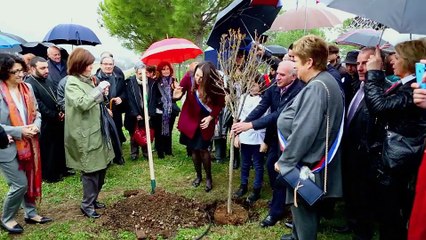 Plantation des armbres au Mémorial du Génocide des Arméniens