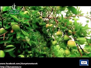 23 March Promo - pakistan