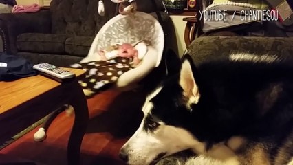 Proof That Dogs Make The Best Babysitters